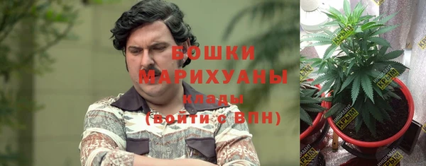 Альфа ПВП Аркадак