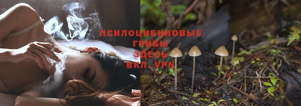 прущие крисы Краснотурьинск