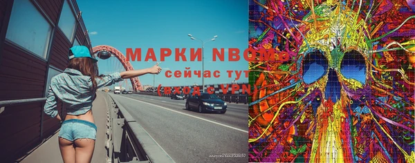 Альфа ПВП Аркадак
